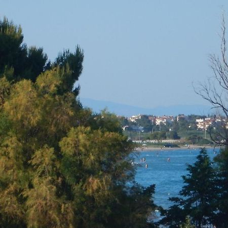Aegean Sea Apartments Artemi Extérieur photo